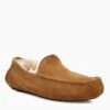 UGG Men's Ascot Slippers - Chestnut -Barbou Clothing Shop QR7XX SQ1 0000000465 CHESTNUT SLf