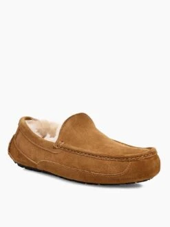 UGG Men's Ascot Slippers - Chestnut