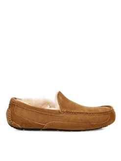 UGG Men's Ascot Slippers - Chestnut -Barbou Clothing Shop QR7XX SQ3 0000000465 CHESTNUT SLs