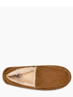 UGG Men's Ascot Slippers - Chestnut -Barbou Clothing Shop QR7XX SQ4 0000000465 CHESTNUT SLt