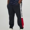Jack & Jones Jack & Jones Plus Colour Block Joggers - Navy Blazer -Barbou Clothing Shop UJRNF SQ1 0000001379 NAVY BLAZER MDf