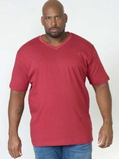 D555 Signature V Neck T-shirt - Red