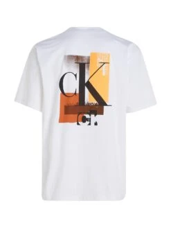 Calvin Klein Jeans Connected Layer Landscape T-shirt - White -Barbou Clothing Shop VJV5H SQ6 0000000013 WHITE MDd2