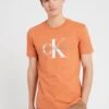 Calvin Klein Jeans Seasonal Monologo T-shirt - Orange 