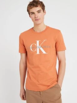 Calvin Klein Jeans Seasonal Monologo T-shirt - Orange 