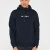 Tommy Sport Tommy Hilfiger Sport Essentials Hoody