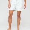 Jack & Jones Jack & Jones Palm Tree Graphic Swimshorts - Light Blue