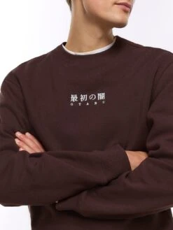 River Island Long Sleeve Simple Japanese Crew - Dark Brown -Barbou Clothing Shop VKUOH SQ4 0000000014 DARK BROWN MDd